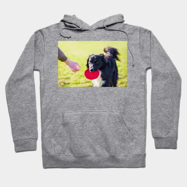 Dog fetch frisbee Hoodie by 1STunningArt